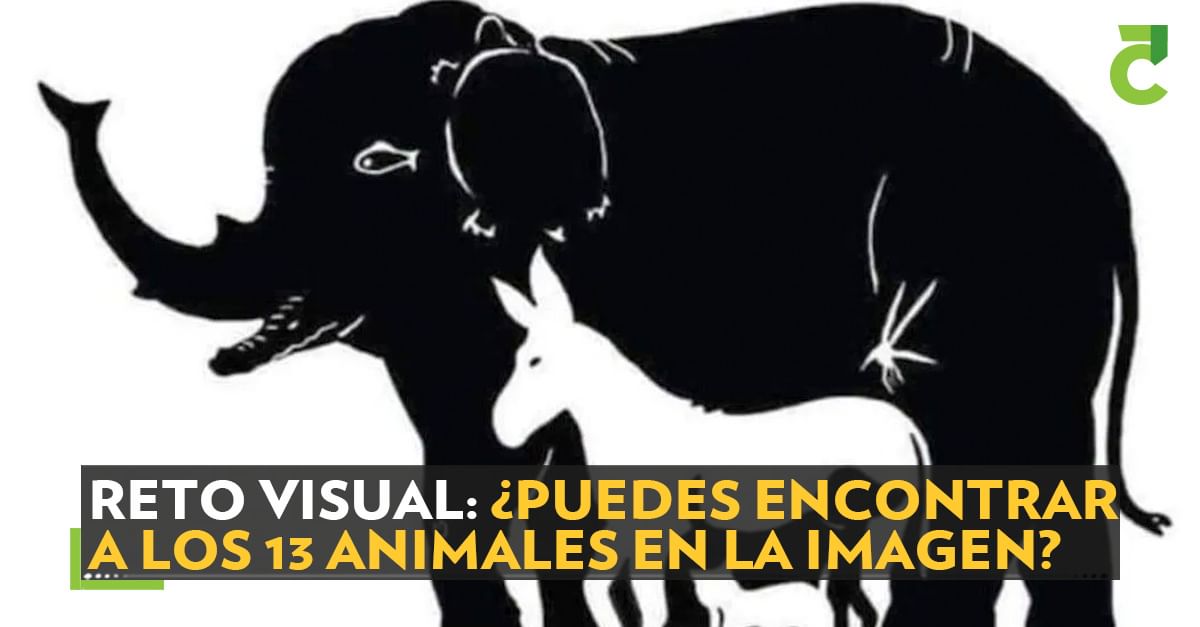 Reto visual: ¿Puedes encontrar a los 13 animales en la imagen?
